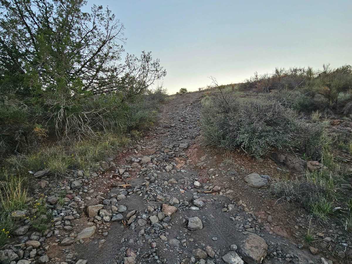 Sheepshead Trail - FS 9541 photo 6