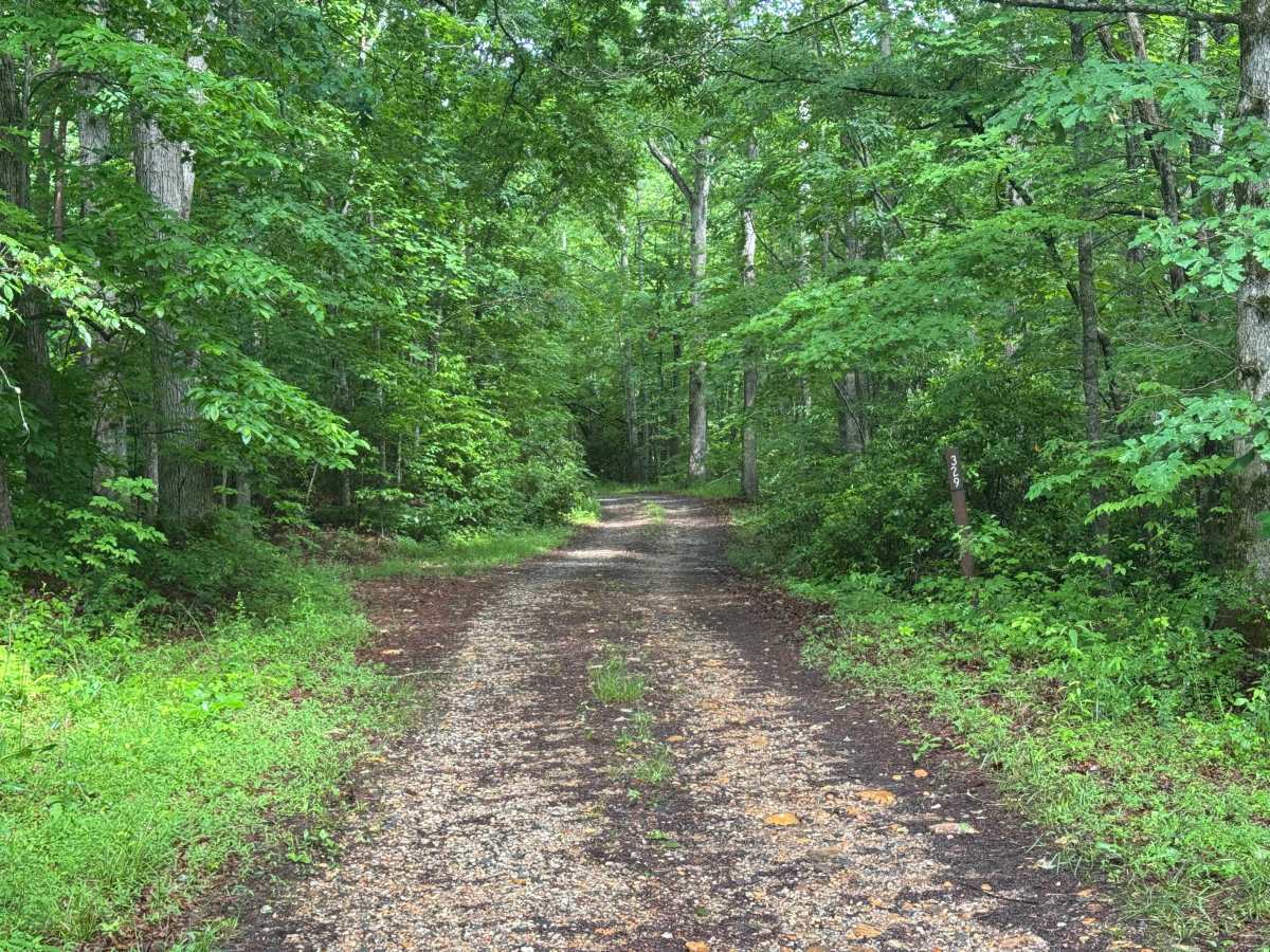 Wildcat Creek - FS 329 trail photo