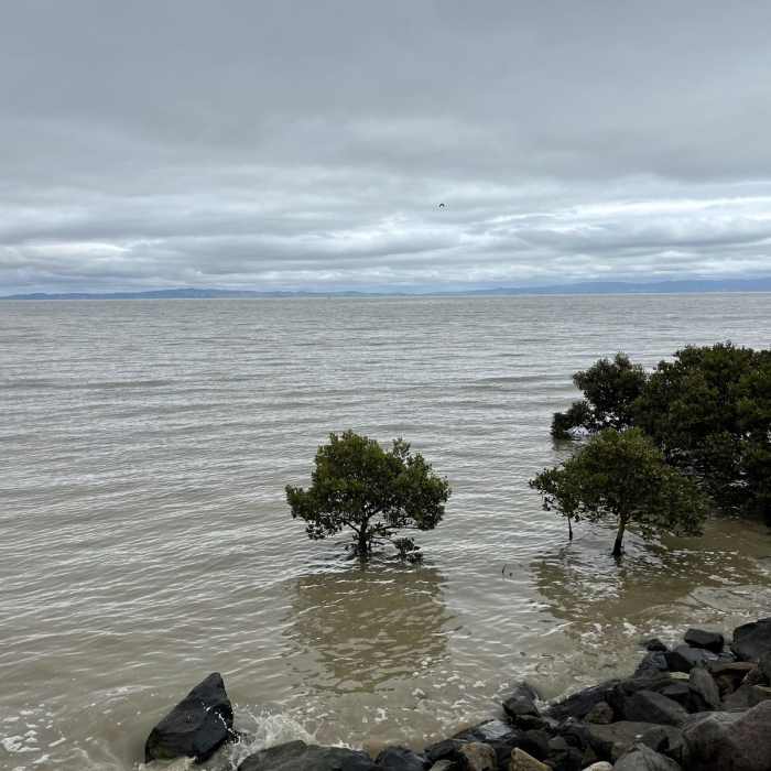 Near Thames Coastal Walkway