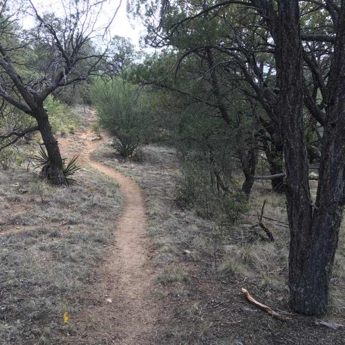 Near Gomez Peak Triple Loop