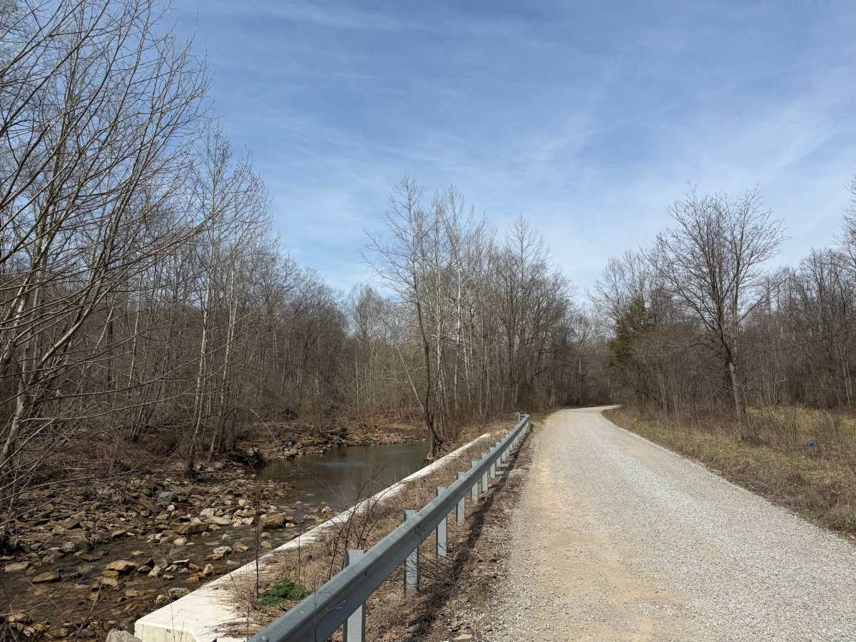 Turkey Run Road trail photo