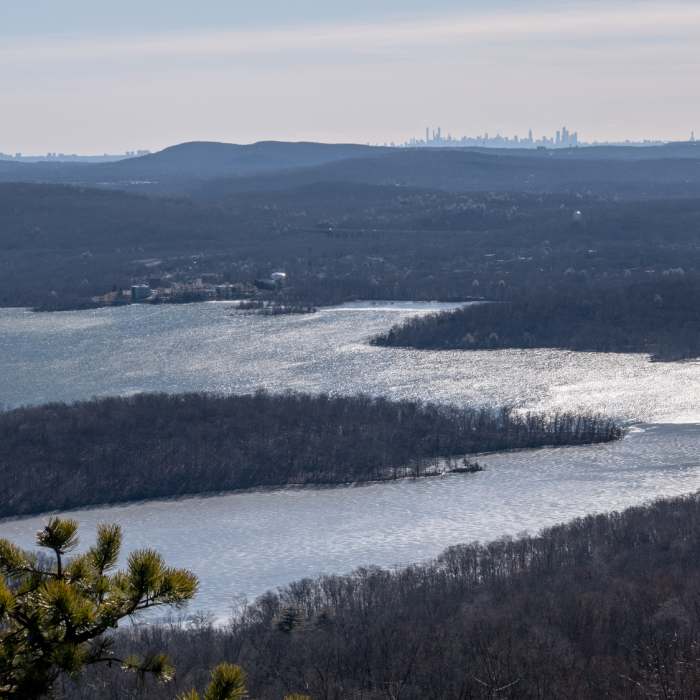 Near Norvin Green Highlights