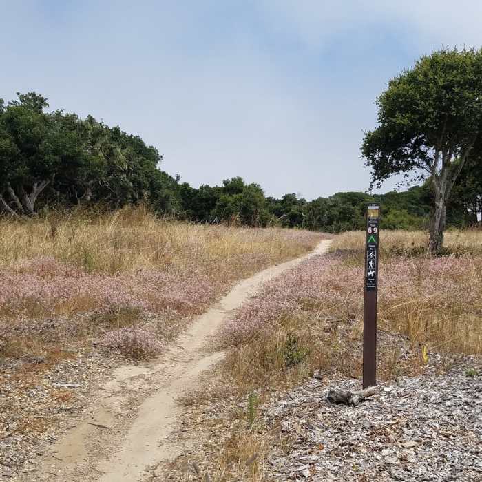 Near Trail 59