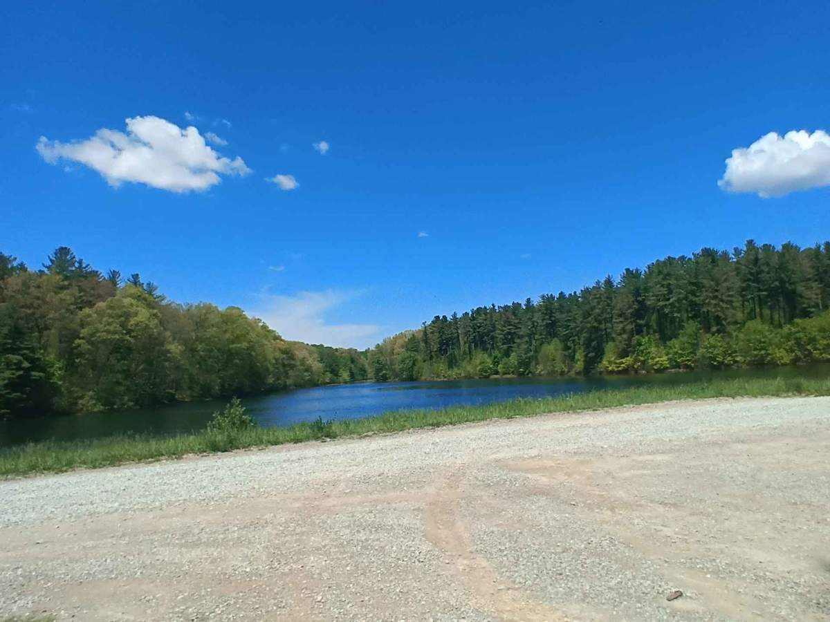 Essington Lake photo 2