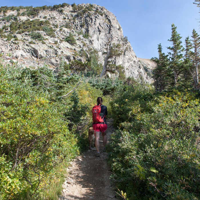 Near Saint Mary's Glacier + Saint Mary's Lake Near Saint Mary's Glacier + Saint Mary's Lake