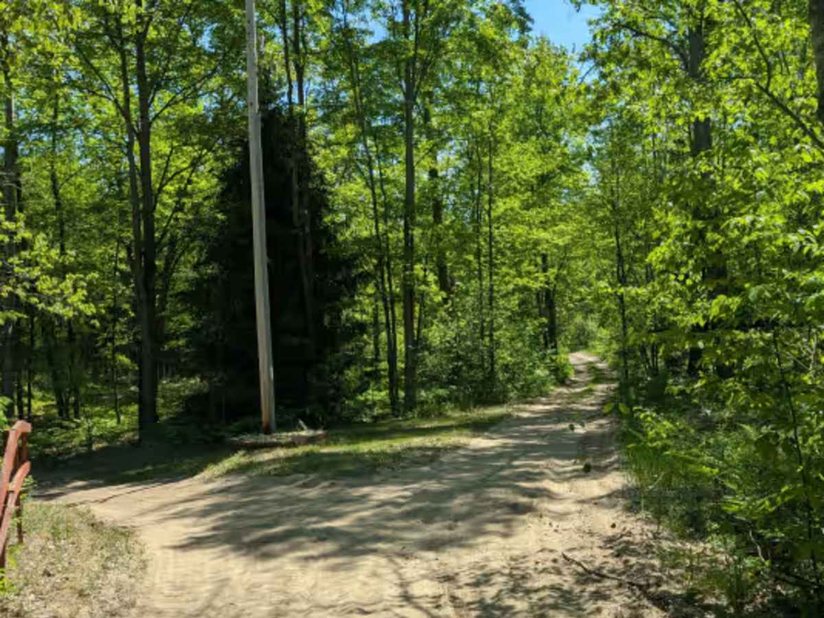 Dyer Lake Trail trail photo