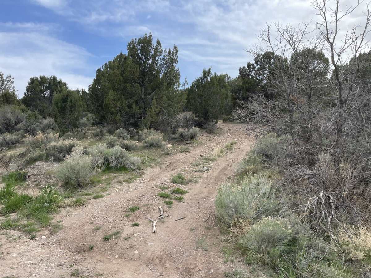 Twin Springs Ridge photo 4