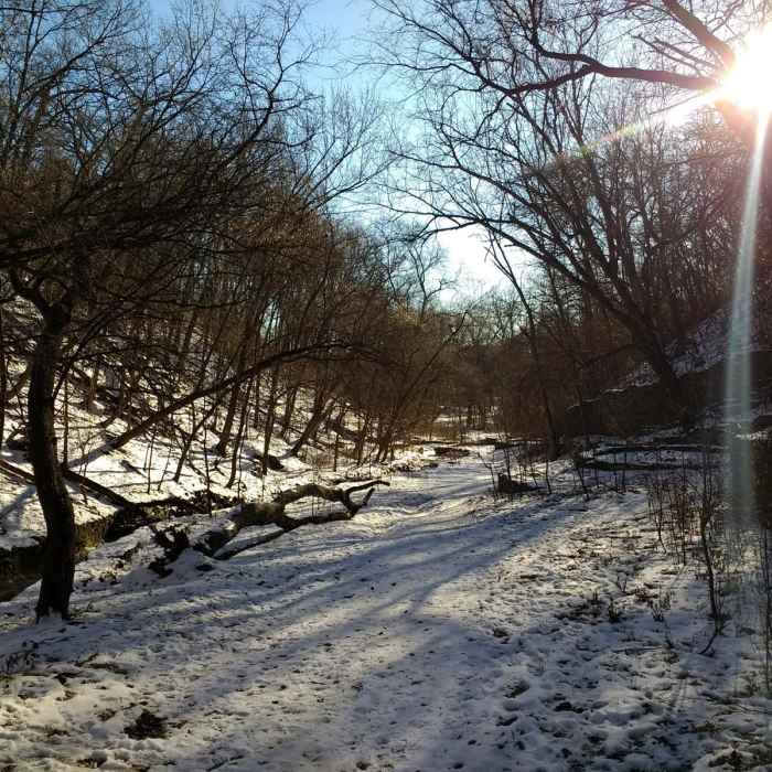 Near Hidden Falls Near Hidden Falls