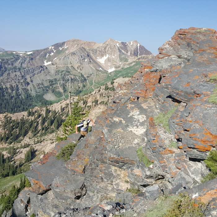 This is the ridge leading to Devil's Castle, on the right outside the frame is a cliff leading down to Alta Ski Resort, the view on the left is the top of American Fork Canyon. Near Devil's Castle Trail