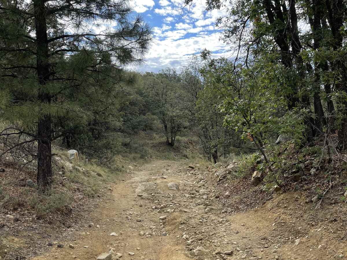 Upper Turkey Creek photo 3