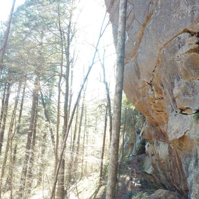 Near Sheltowee Trace NRT: Section 32