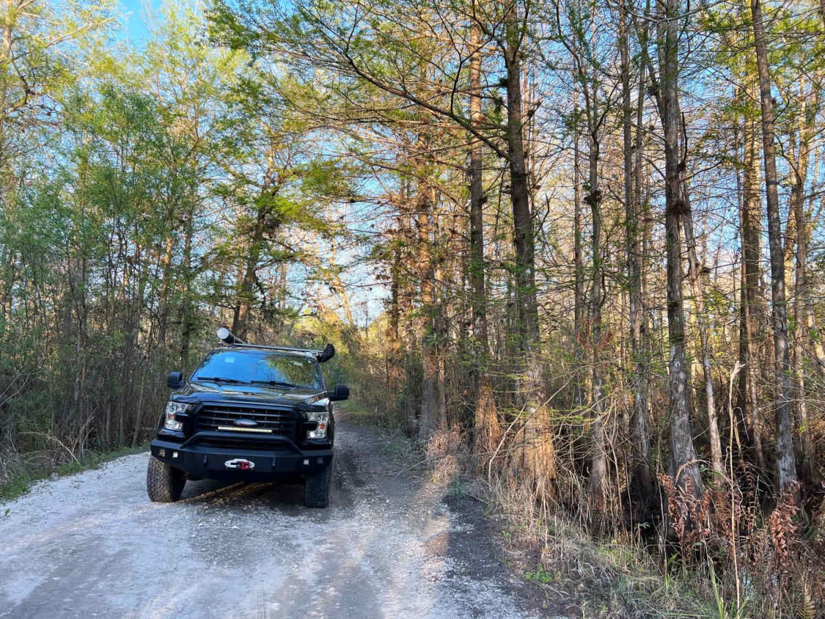 Danny Hole at Tiger Bay State Forest trail photo