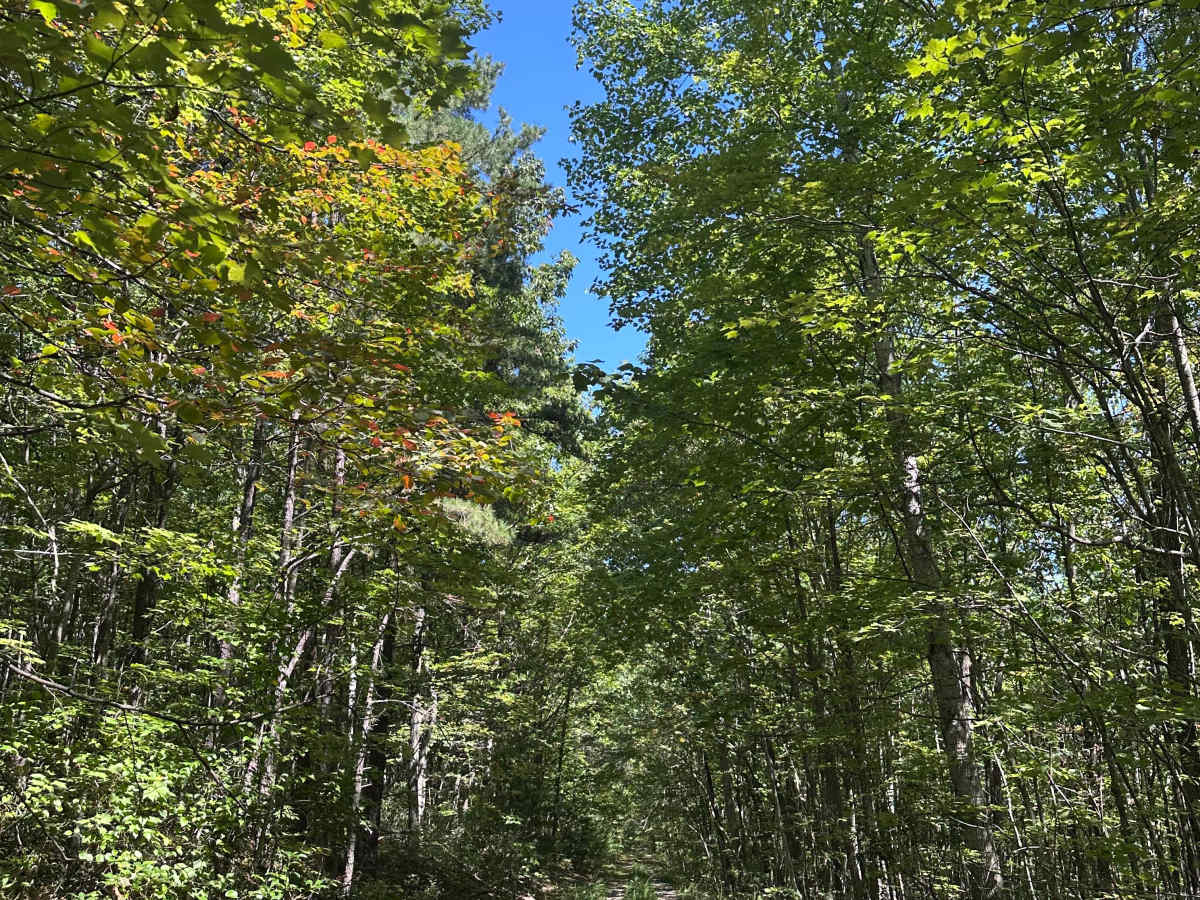 Wilson Spur  photo 2