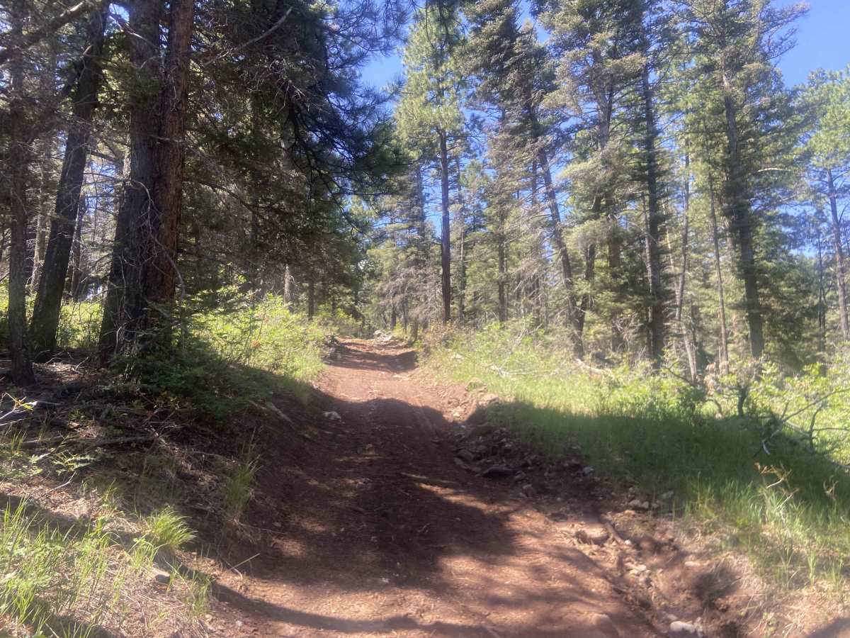 Canada Ojitos trail photo