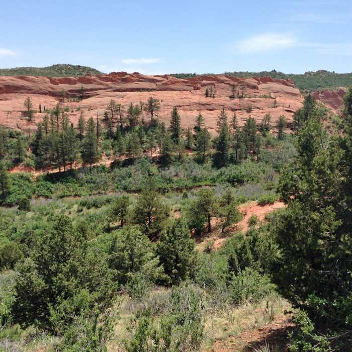 Near Sand Canyon Trail