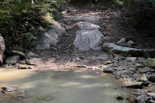 Louse Creek Trail 20 