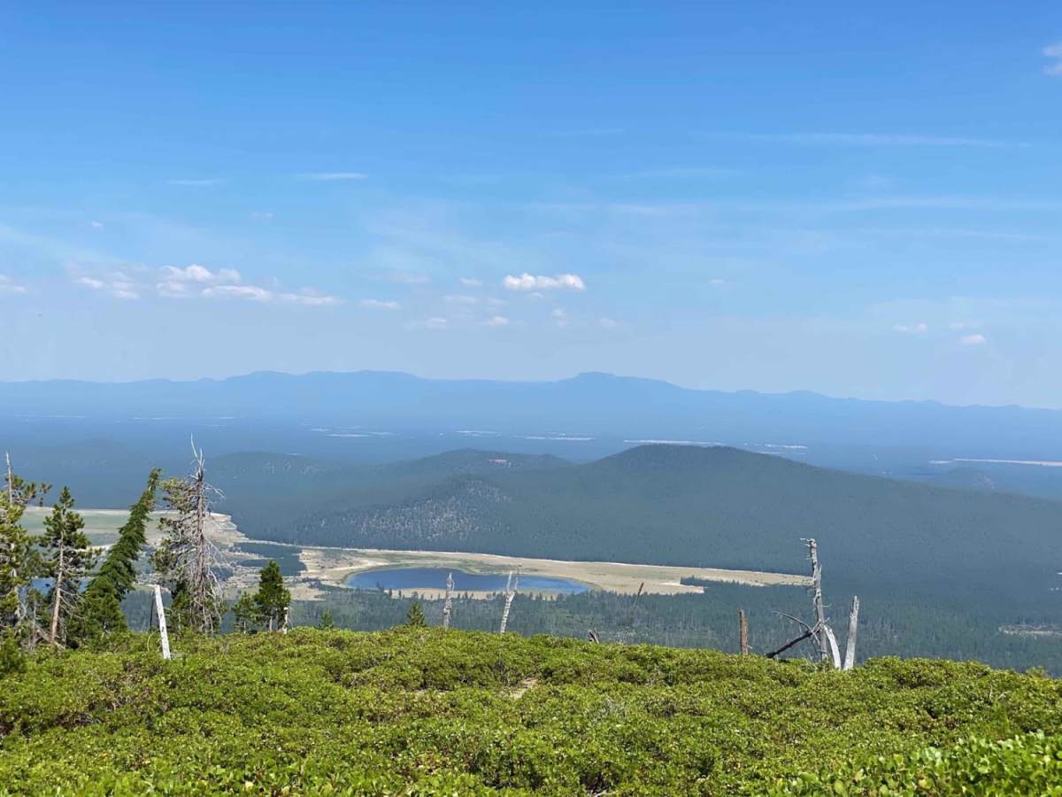 Sparkys Top trail photo