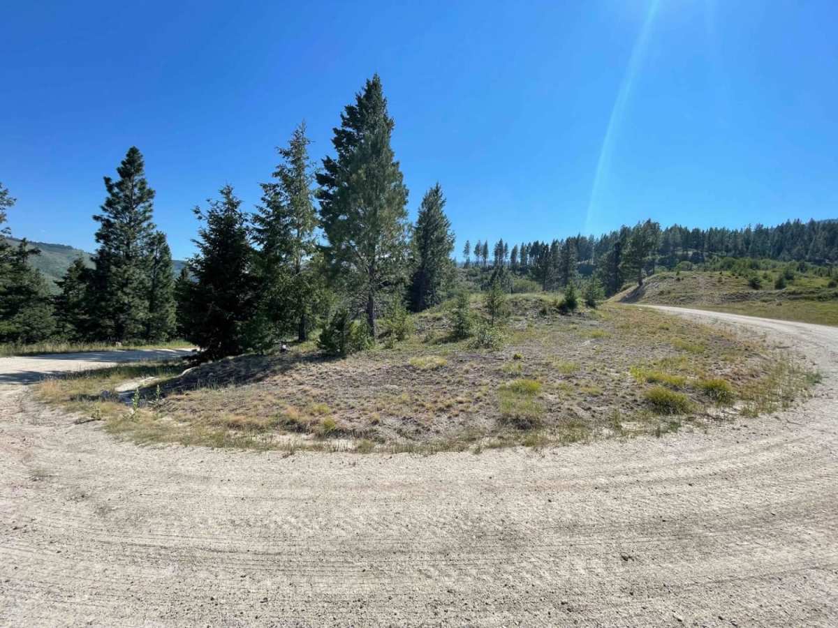 Gilbert No Creek photo 3