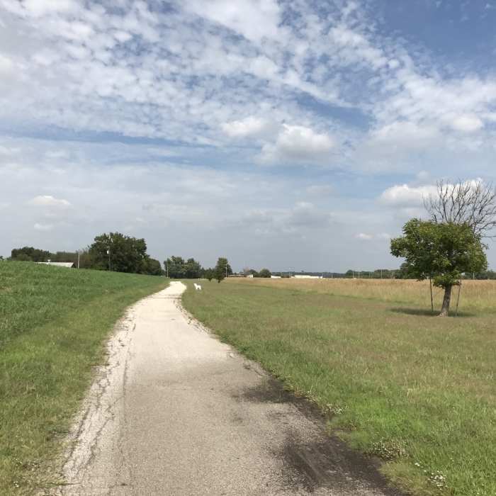 Near Poplar Walking Trail
