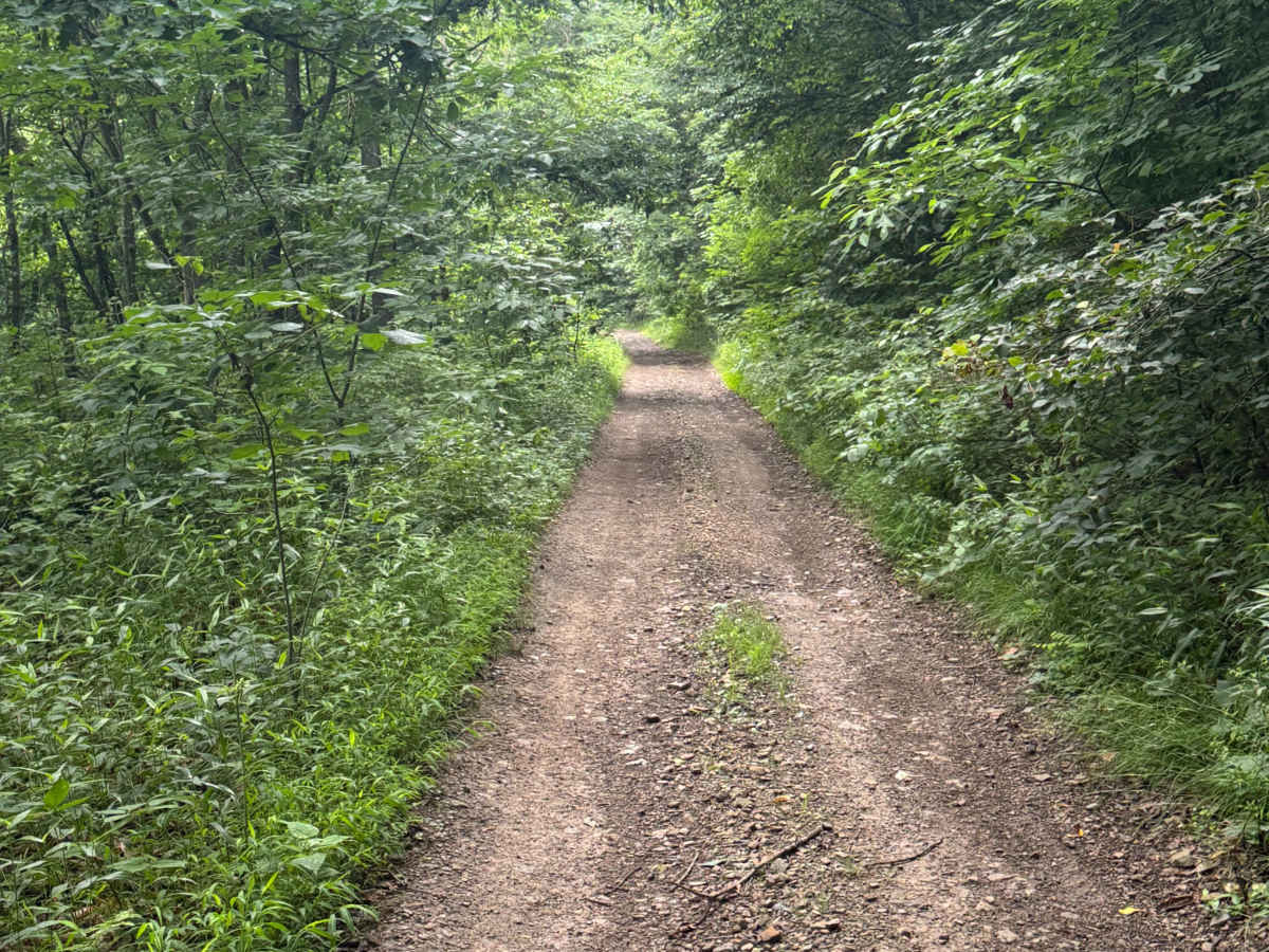 Trail 86 photo 4