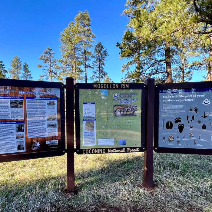 Near Arizona Trail Passage 29: Mormon Lake