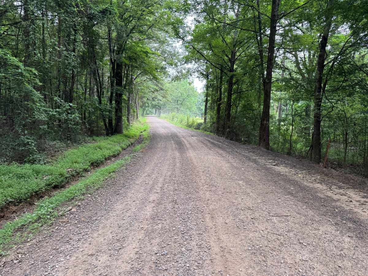 County Road 3290 photo 2