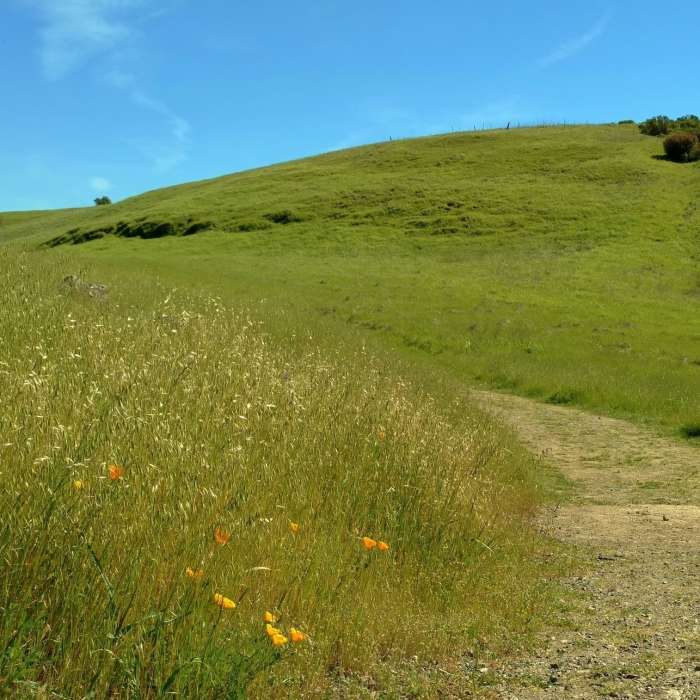 Near Joice Trail