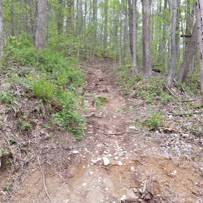 Near Fredericksburg Quarry Trails Hike