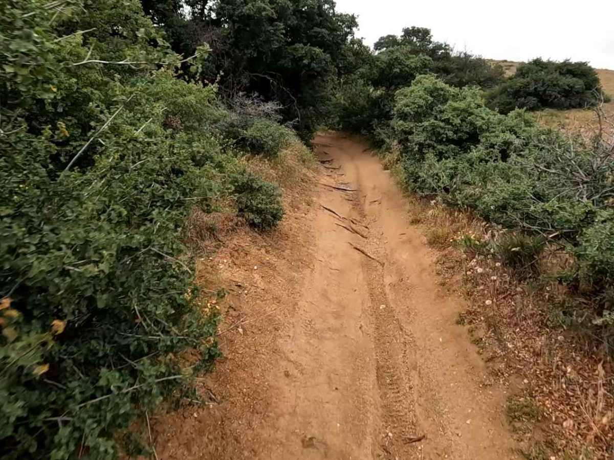 Coyote Trail photo 2