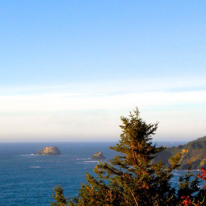 Near Trinidad Head Loop