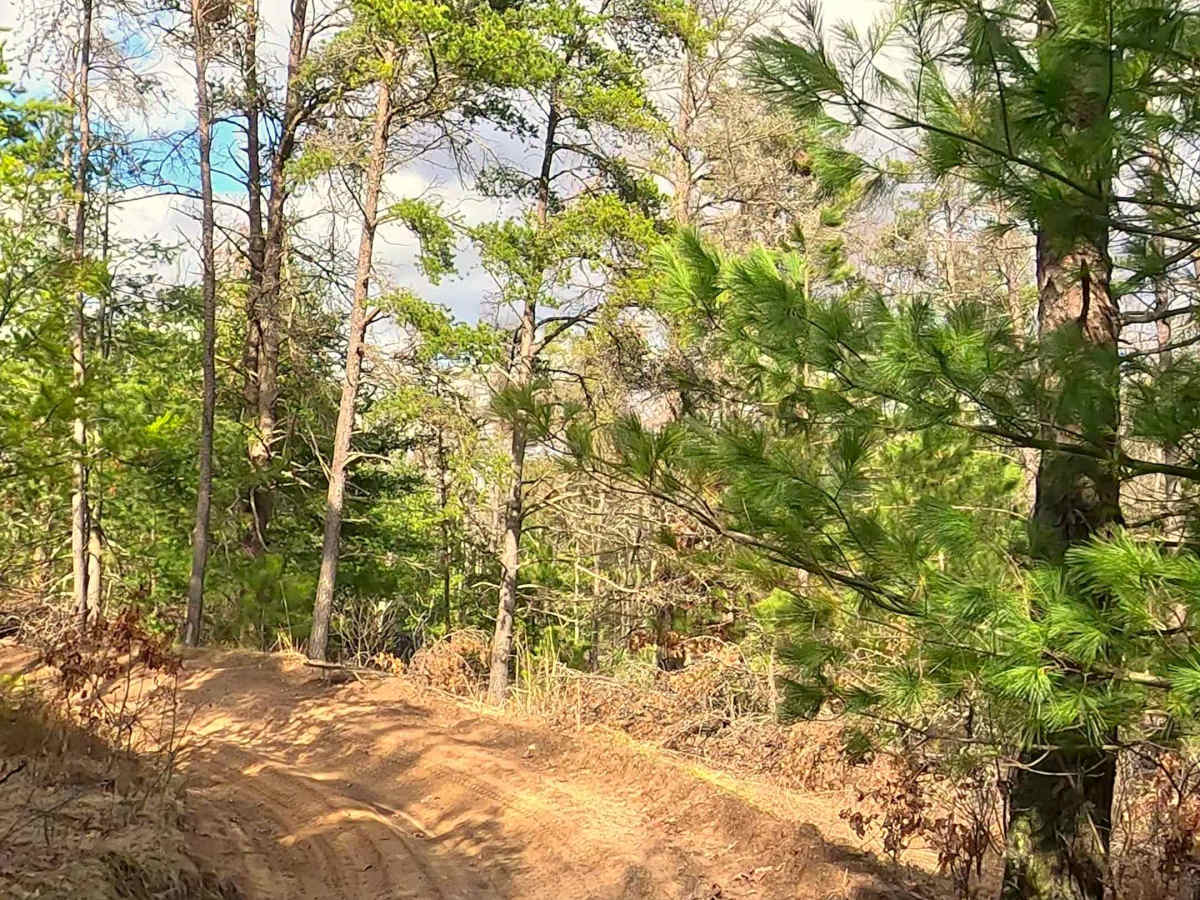 ORV H-57 : Bull Gap Hill Climb - Primary Return Loop <50" trail photo