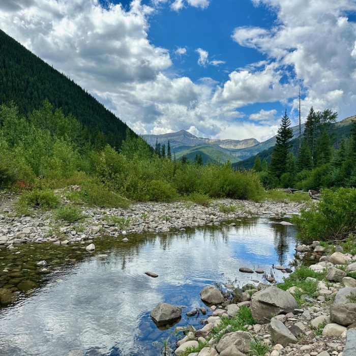 Near Continental Divide Trail: Spotted Bear Pass Alternate