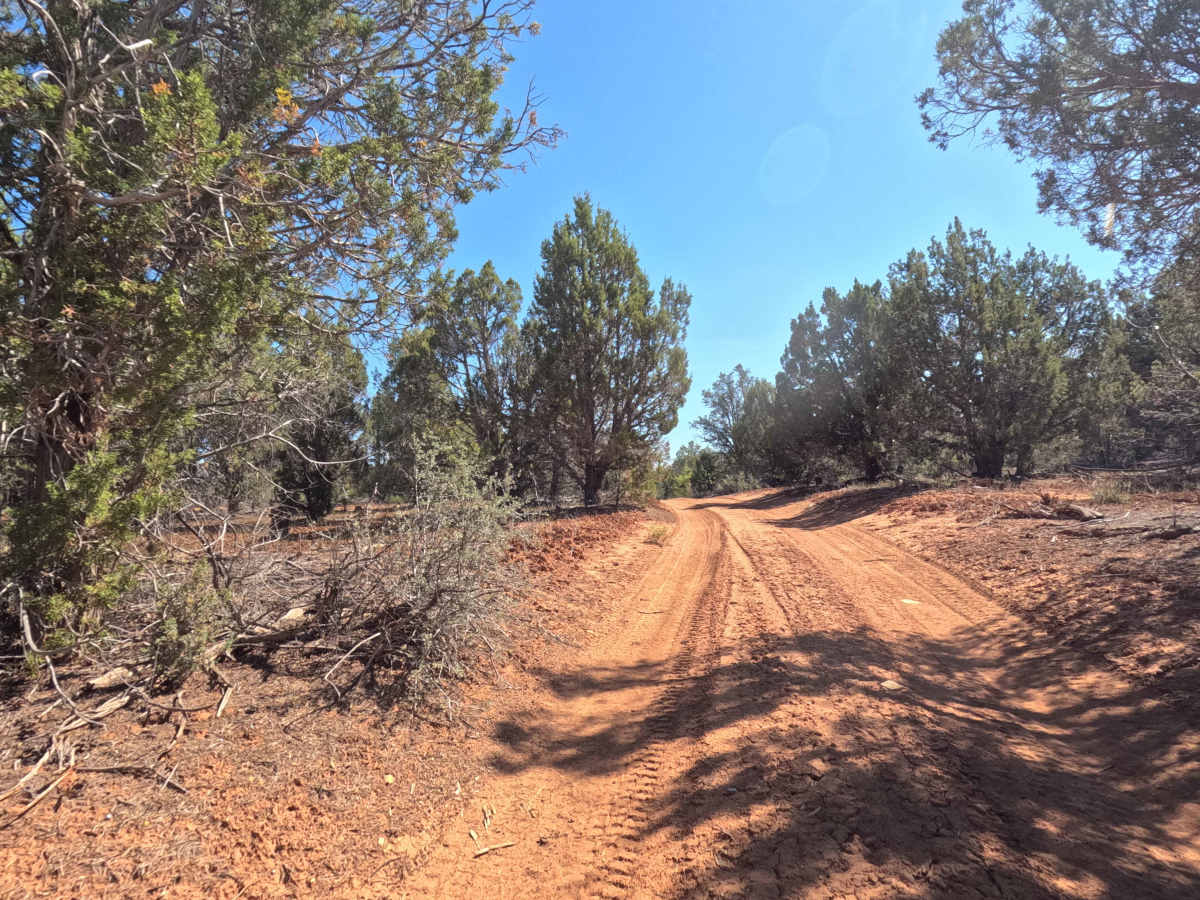 BLM 72 photo 6