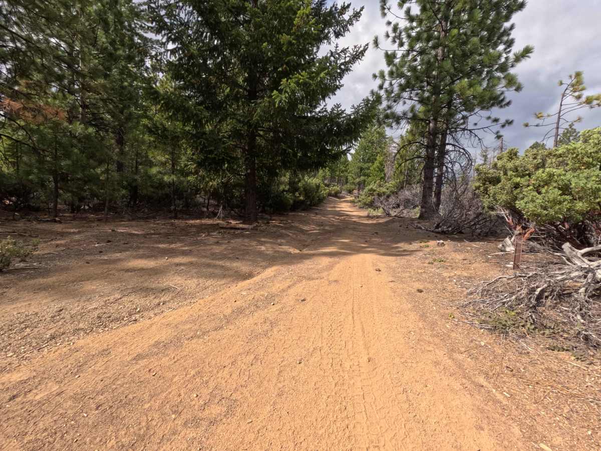 Felkner - FS 19N06 trail photo