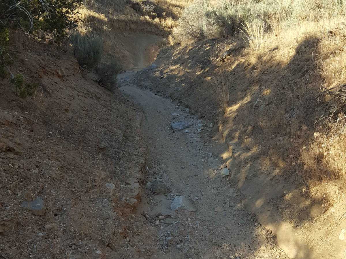 Trail 22 photo 5