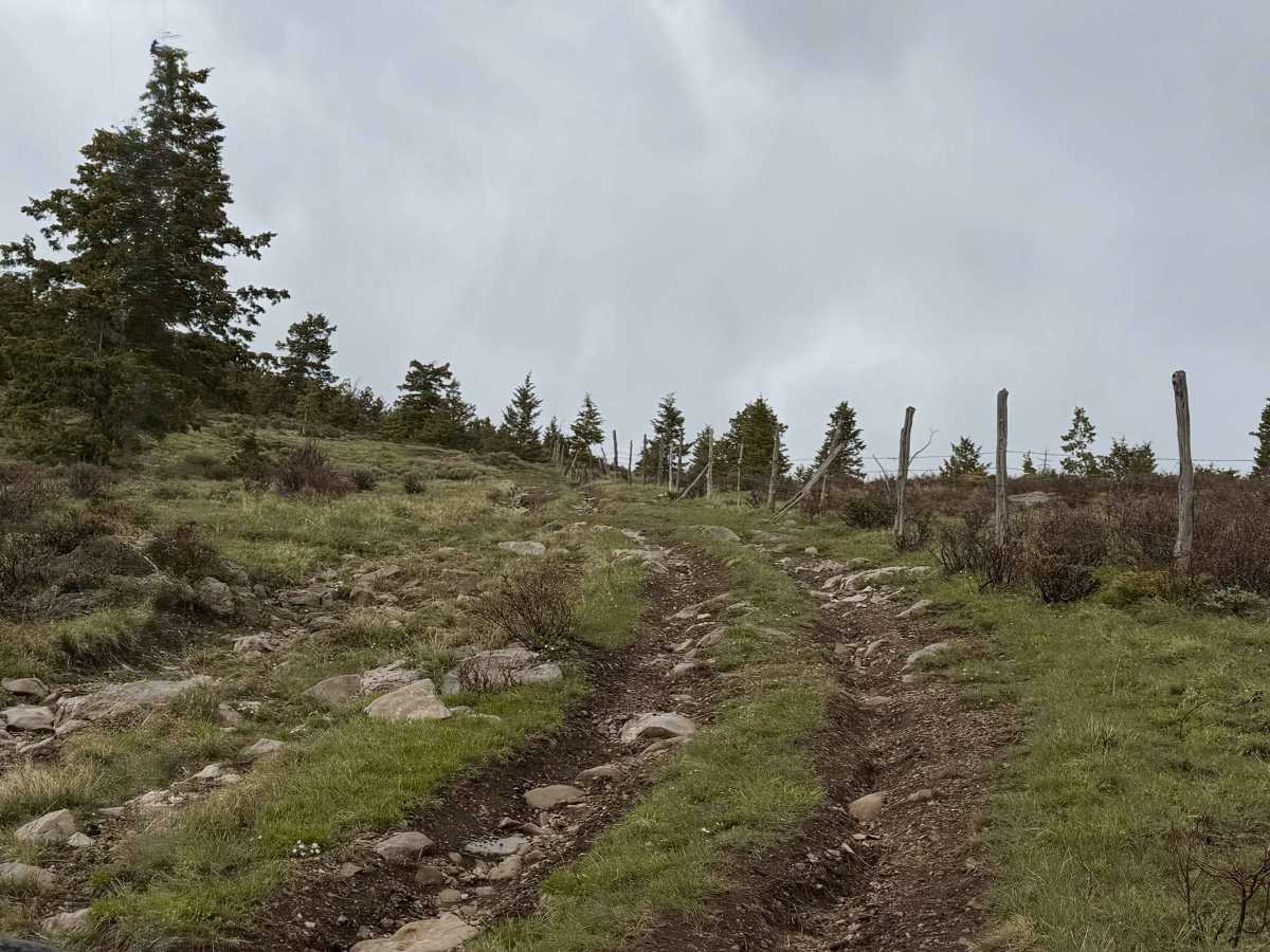 Limestone - FS 62 photo 3