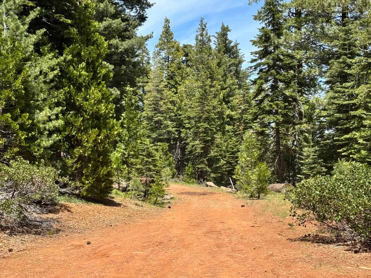 Deer Creek S - FS 28N12G trail photo