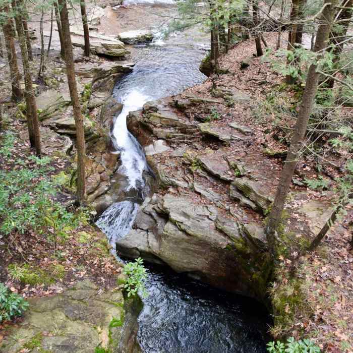 Near Audubon Loop Trail Near Audubon Loop Trail