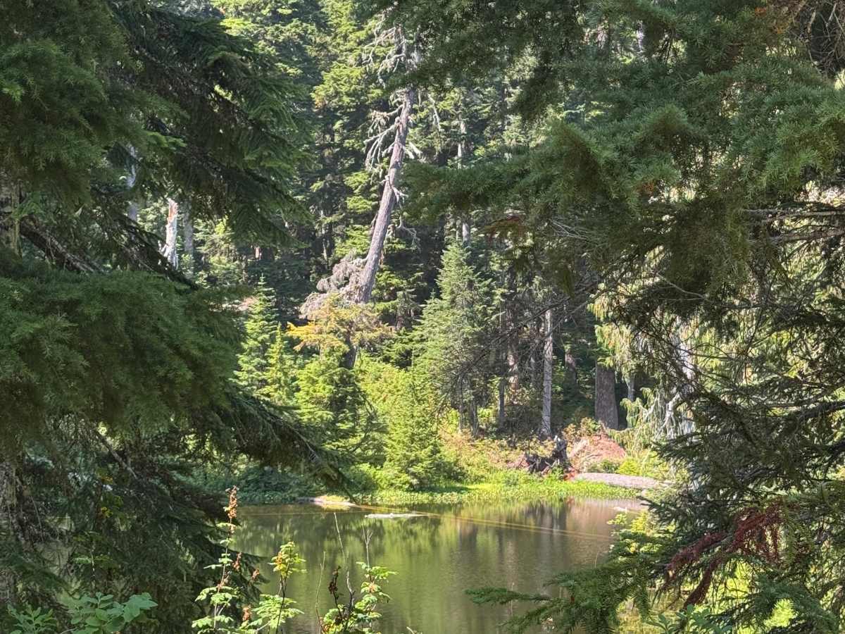 Sobieski Mountain trail photo