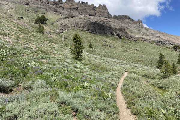 Horse Canyon Trail 17E21