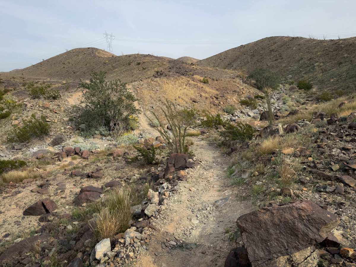 Ryan's trail photo