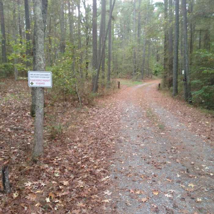 Near Transis Camp Road