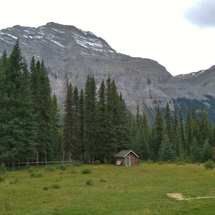 Near Blue Creek Warden Cabin Spur