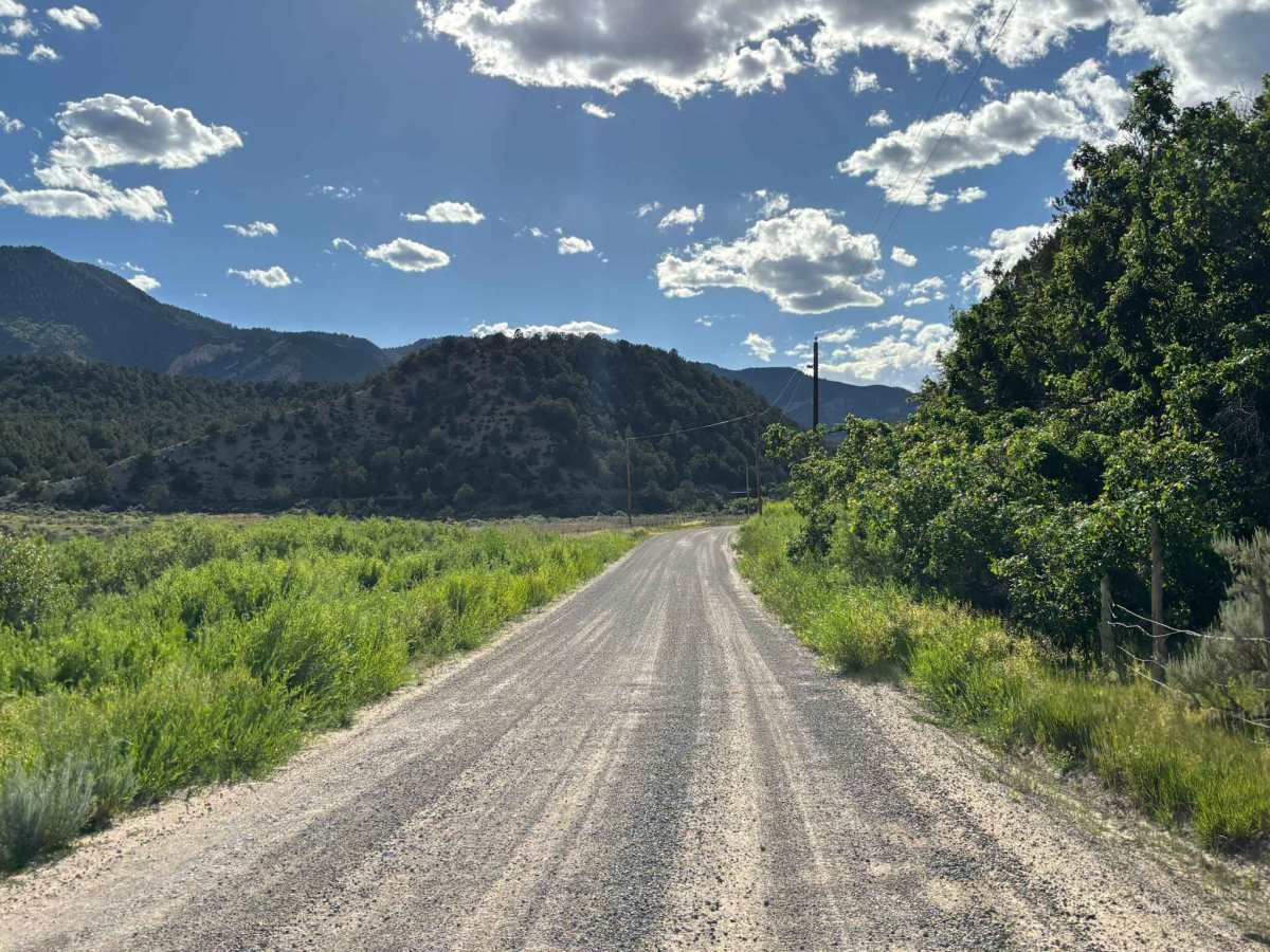 Rifle Creek Road photo 3