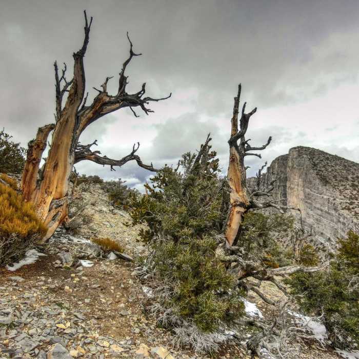 Near Notch Peak Hike