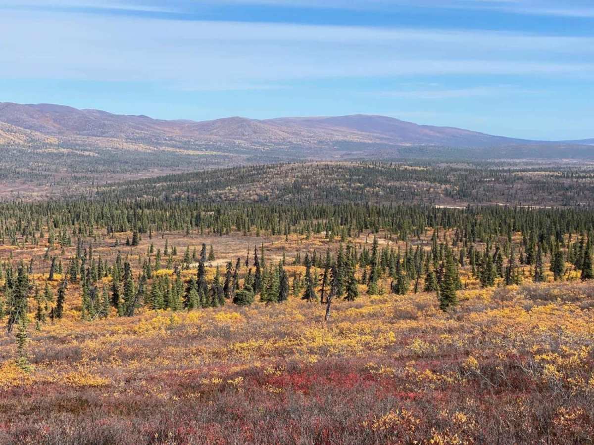 Gunsight Mountain photo 3