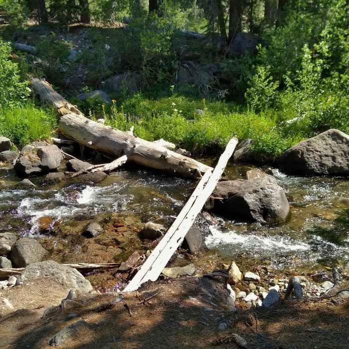 Near Summit Lake to Corral Meadow