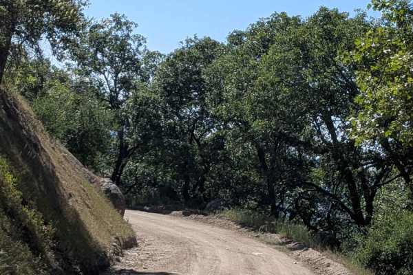 Poso Road