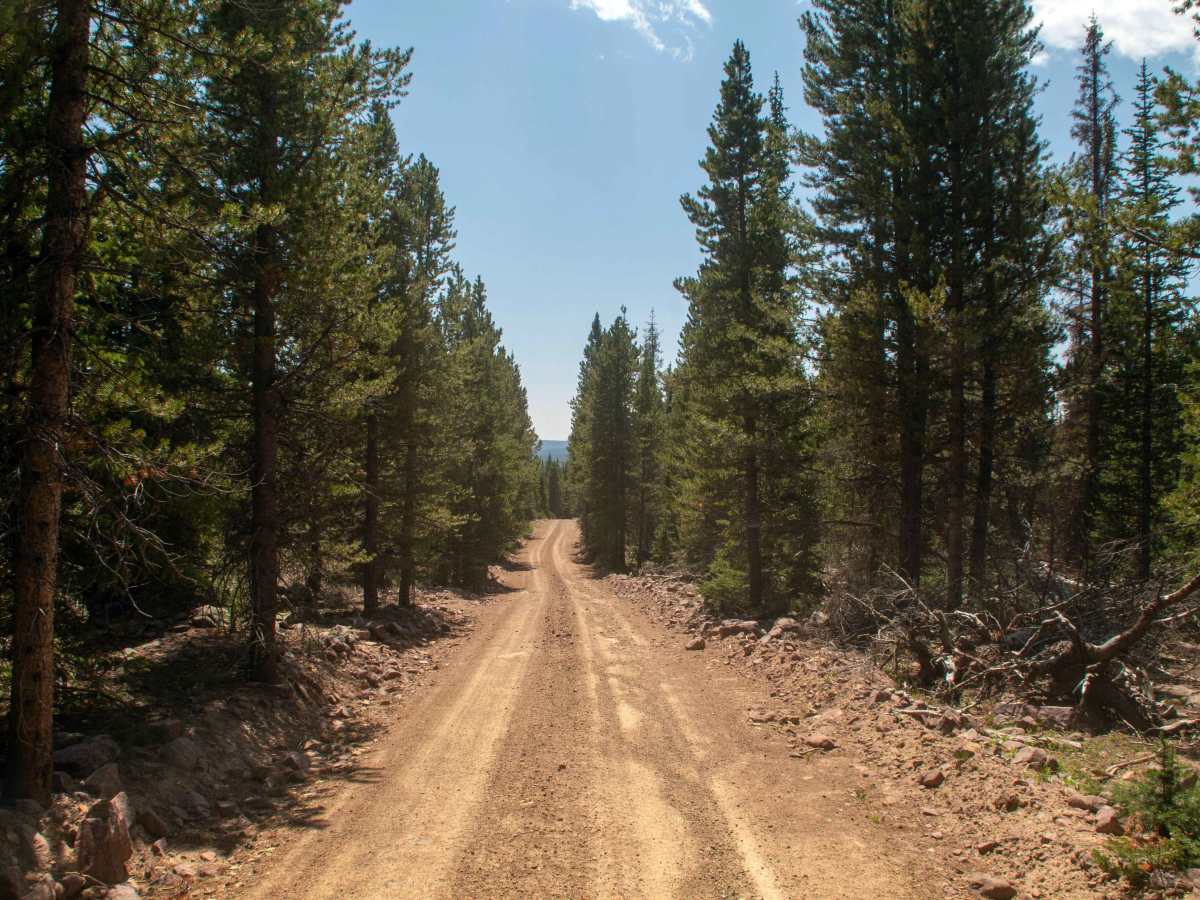 Center Creek - FS 10037 trail photo