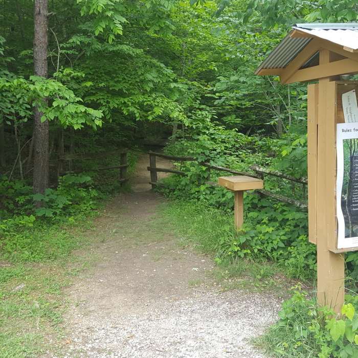 Near Anglin Falls Trail